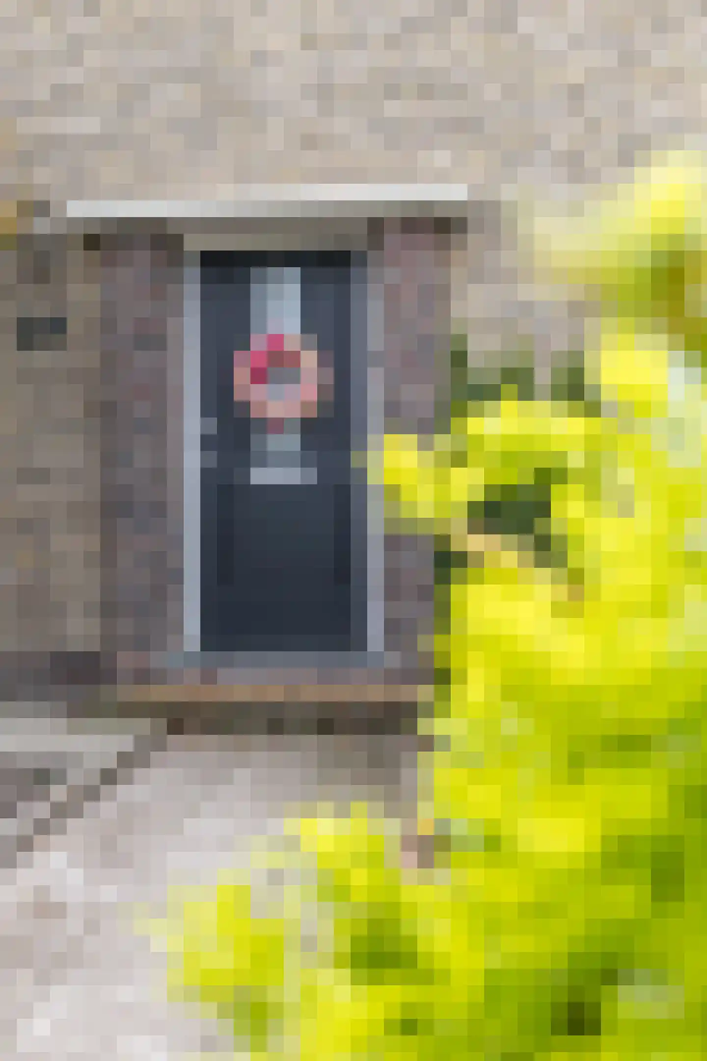 Kem 24 Schinveld thumbnail 39