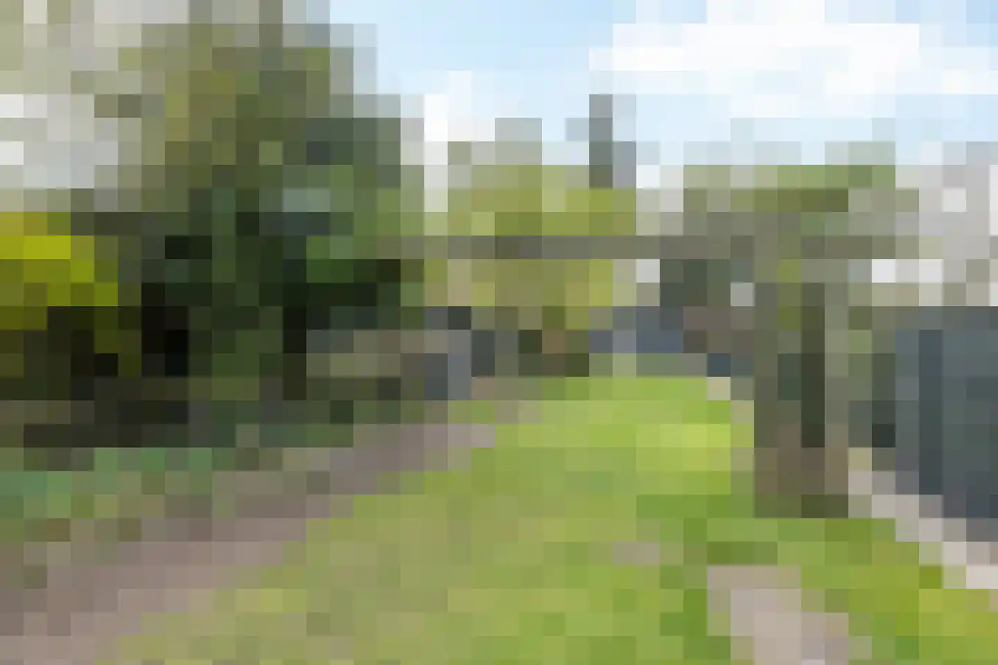 Kem 24 Schinveld thumbnail 43