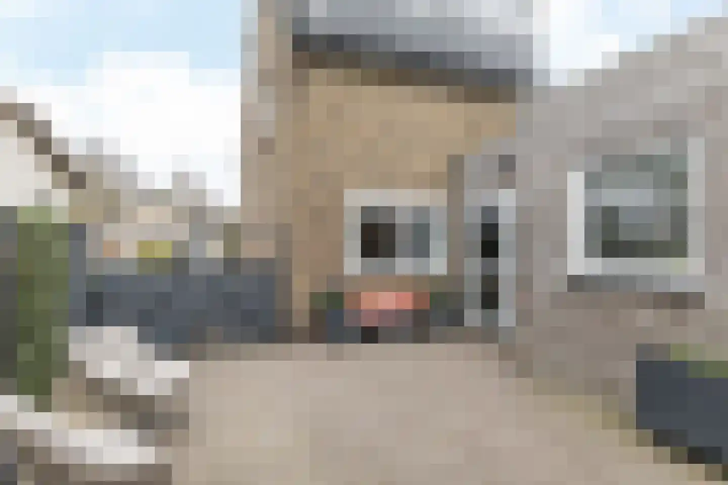 Kem 24 Schinveld thumbnail 49