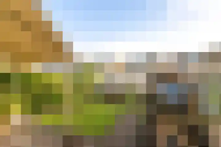 Kemelstede 183 Breda thumbnail 28