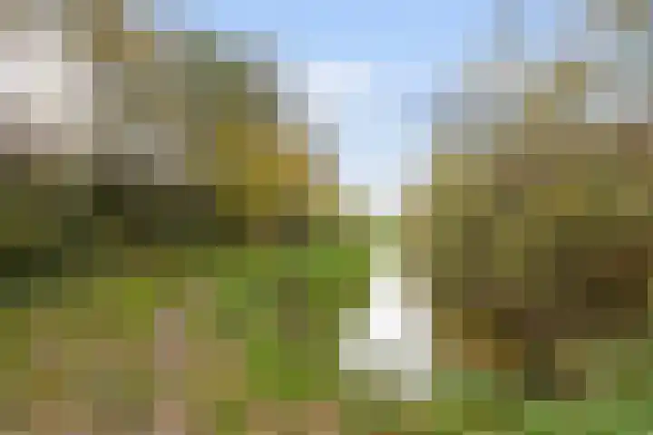 Kemelstede 183 Breda thumbnail 33