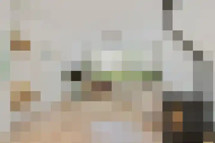 Kemelstede 183 Breda thumbnail 7