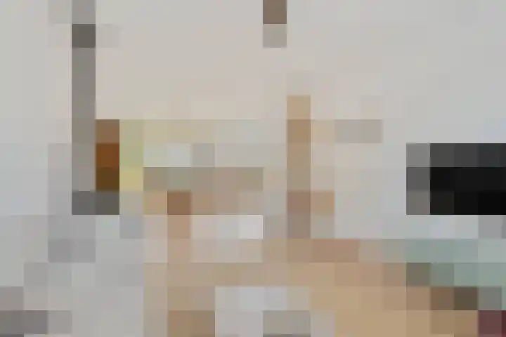 Kemelstede 183 Breda thumbnail 8