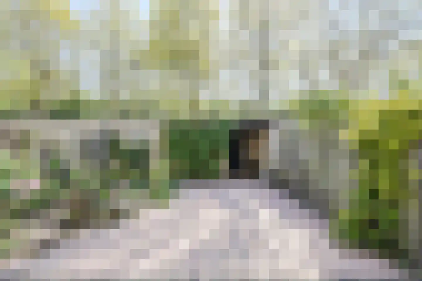 Kemelstede 247 Breda thumbnail 4