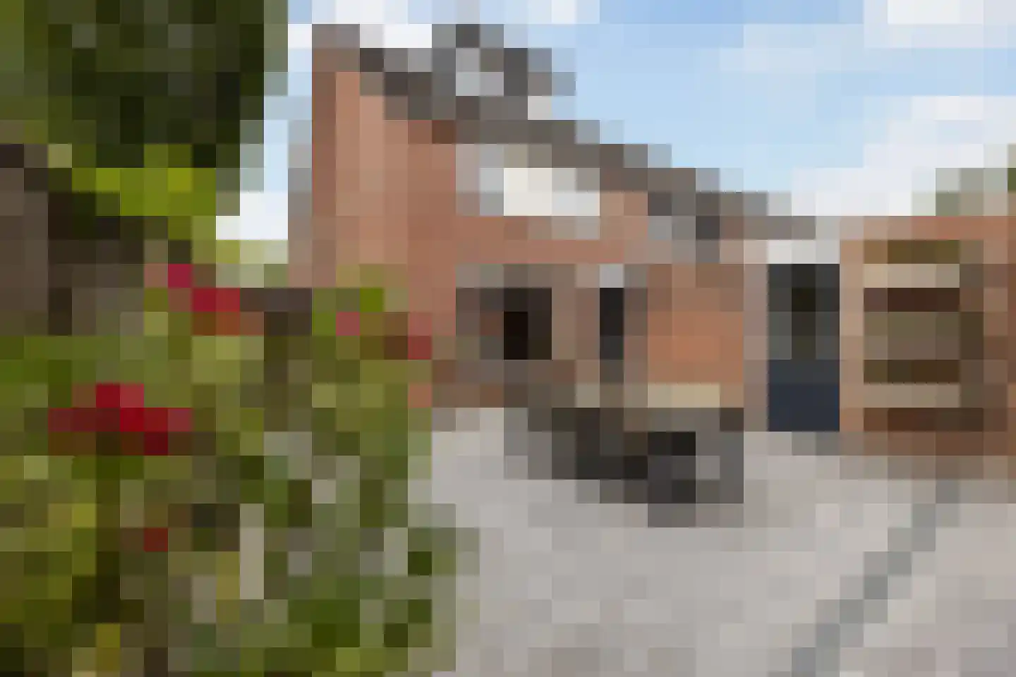 Kemenadehoek 31 Enschede thumbnail 4
