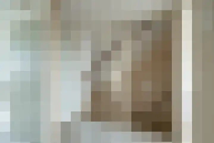 Kemenaweg 55 Aalten thumbnail 28