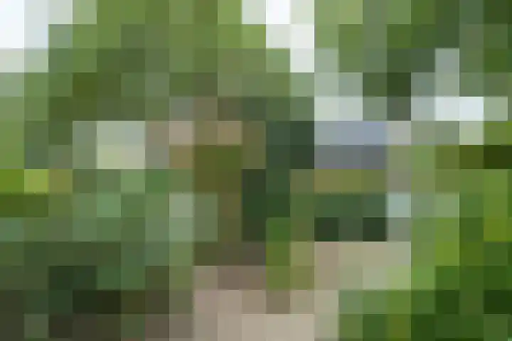 Kemenaweg 55 Aalten thumbnail 37