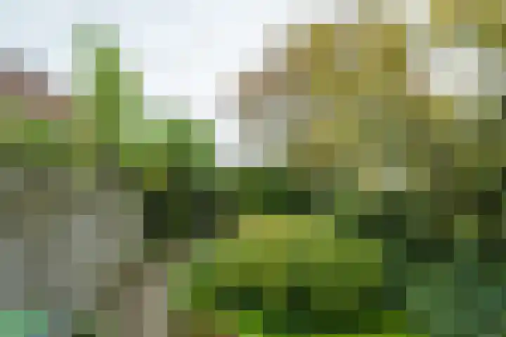 Kemenaweg 55 Aalten thumbnail 38