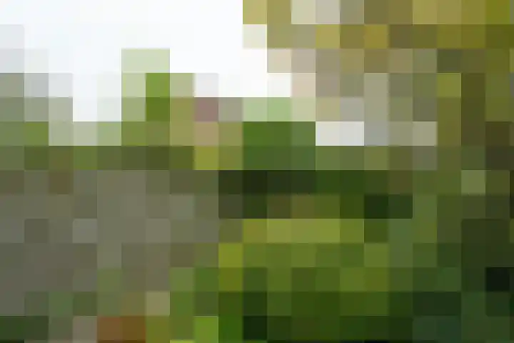 Kemenaweg 55 Aalten thumbnail 39