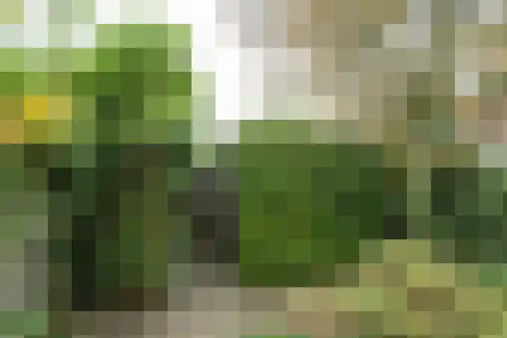 Kemenaweg 55 Aalten thumbnail 40