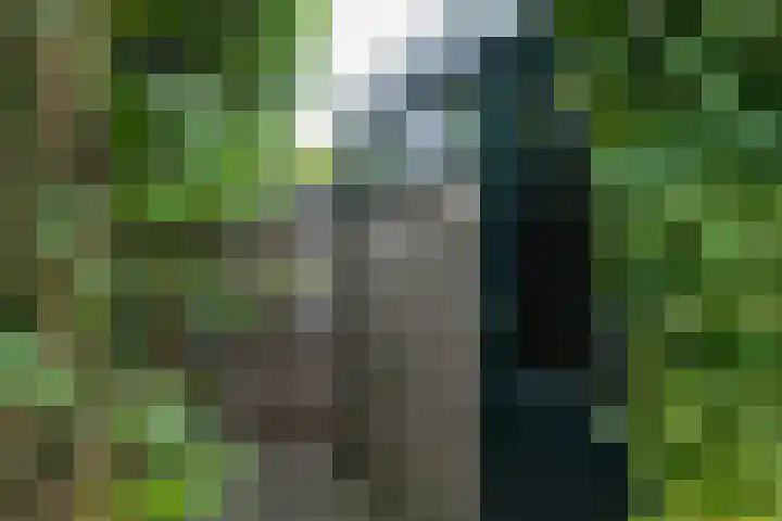Kemenaweg 55 Aalten thumbnail 41
