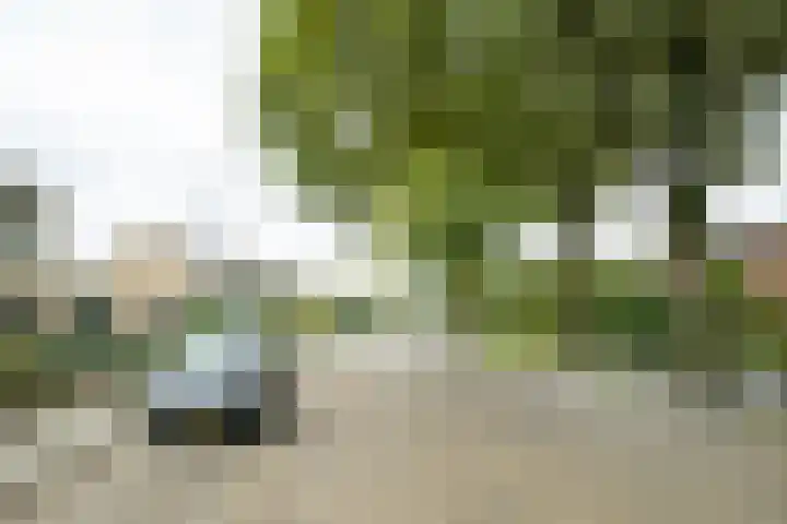 Kemenaweg 55 Aalten thumbnail 5