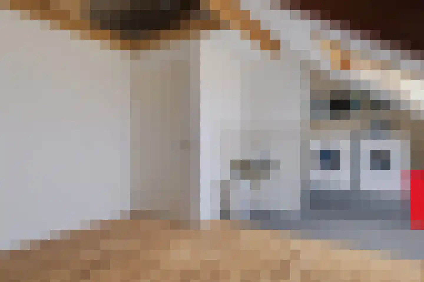 Kemerij 24 Haaksbergen thumbnail 25