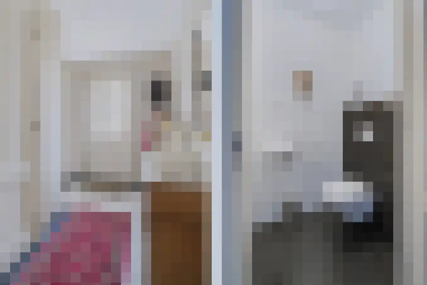 Kemerij 24 Haaksbergen thumbnail 6