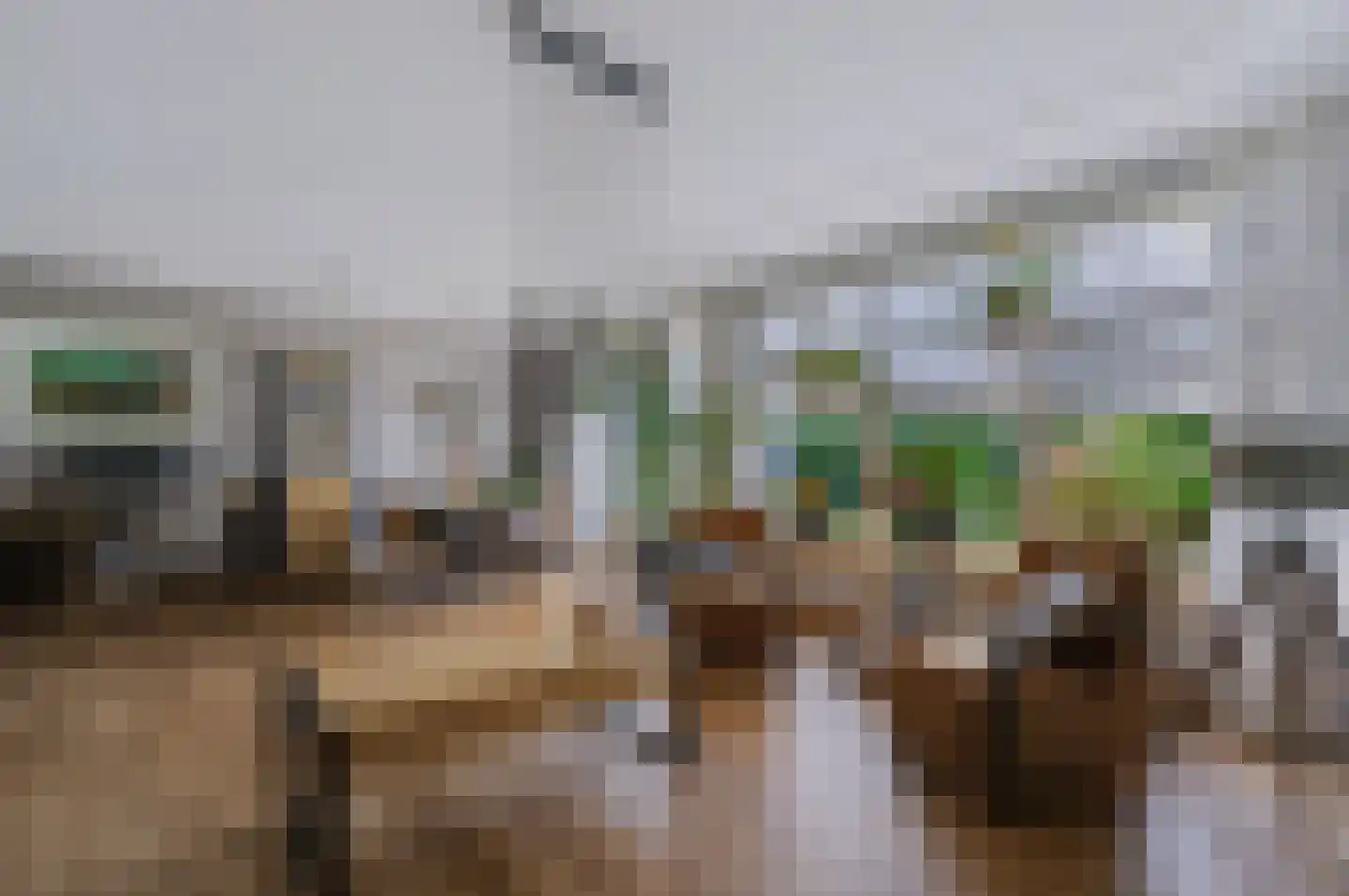 Kemerij 24 Haaksbergen thumbnail 7