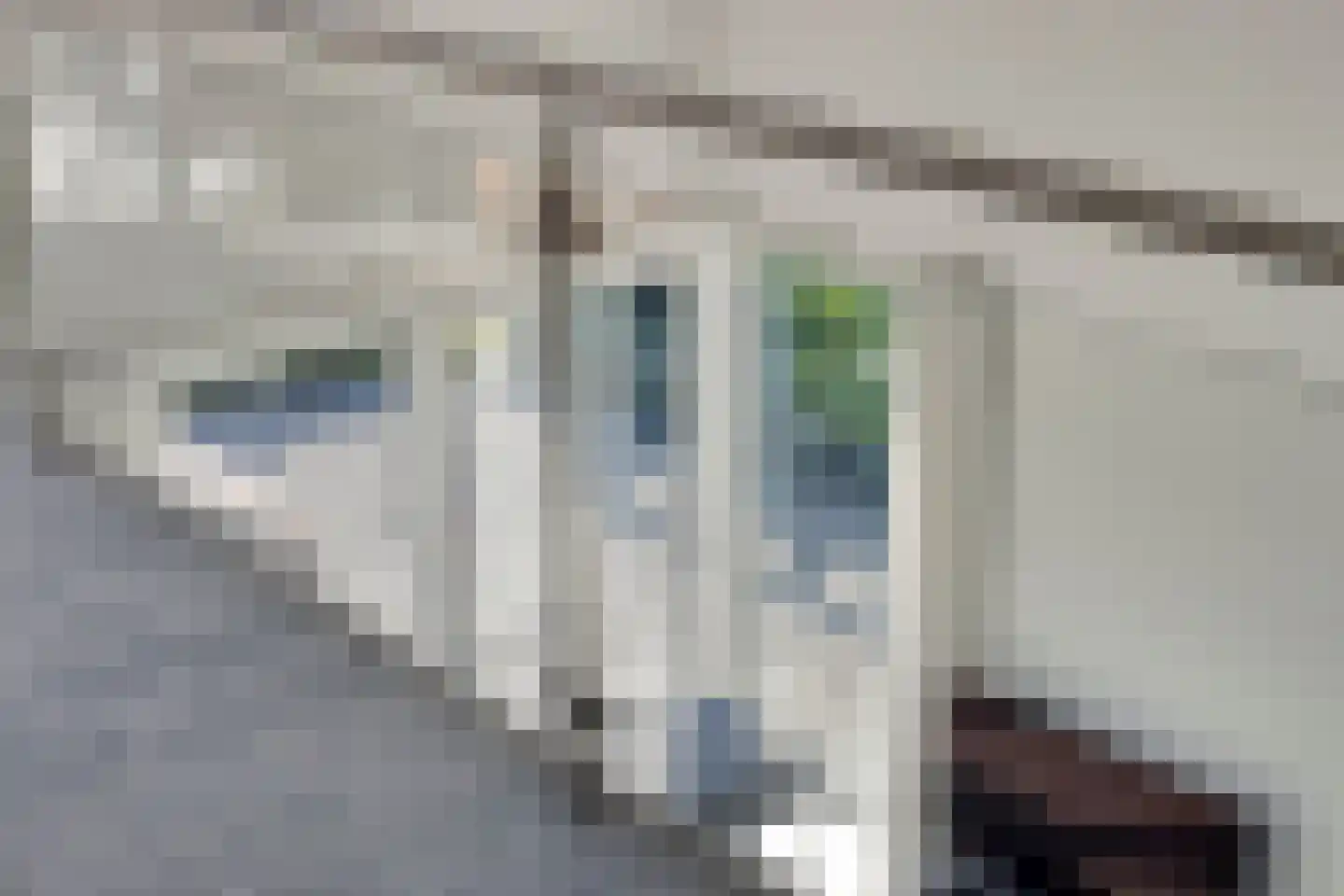 Kemerij 30 Haaksbergen thumbnail 38