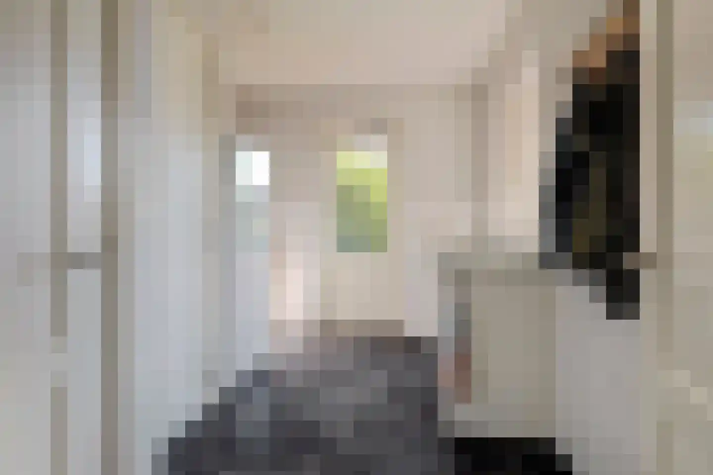Kemerij 40 Haaksbergen thumbnail 14