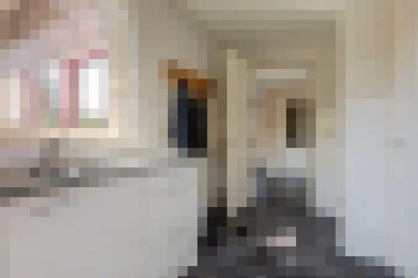 Kemerij 40 Haaksbergen thumbnail 15