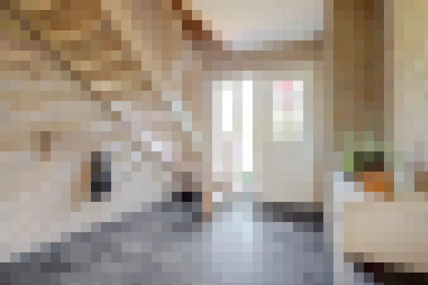 Kemerij 40 Haaksbergen thumbnail 5