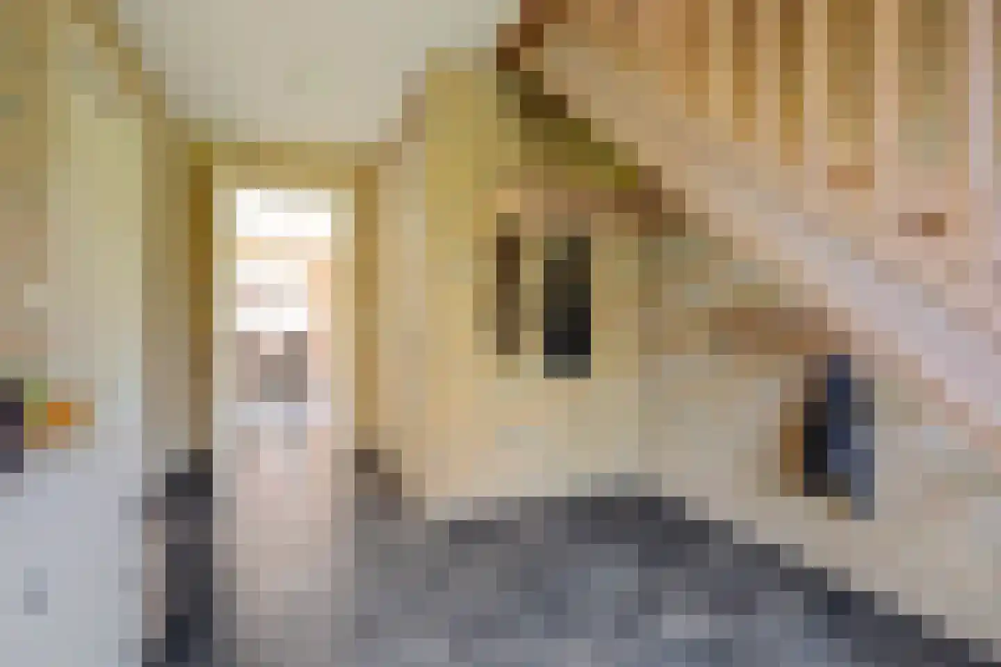 Kemerij 40 Haaksbergen thumbnail 6