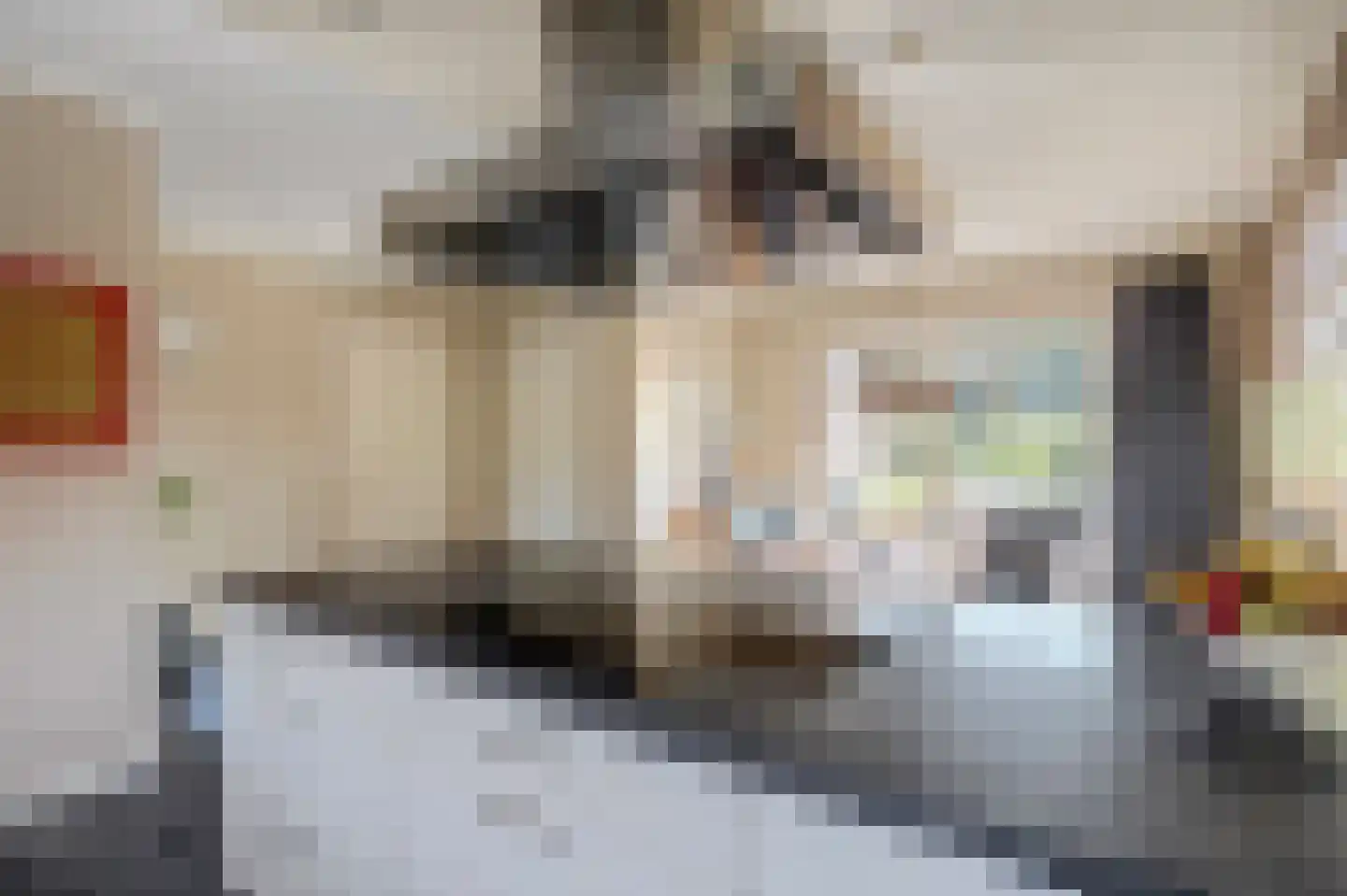 Kemerij 40 Haaksbergen thumbnail 8