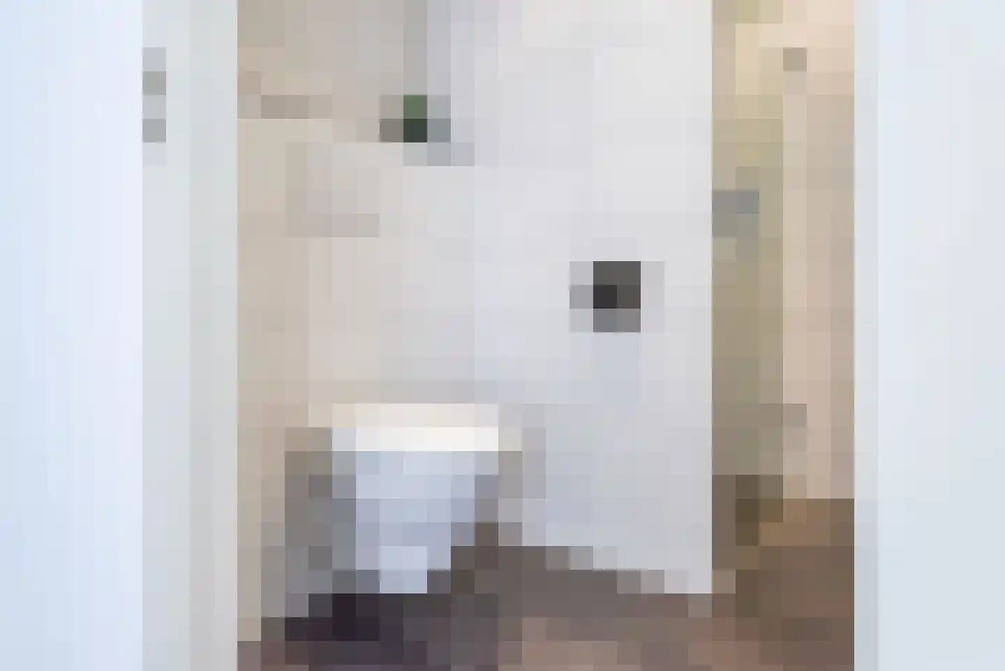 Keminksweide 42 Dinxperlo thumbnail 24