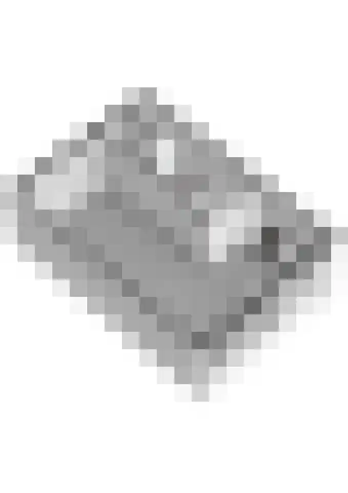 Keminksweide 42 Dinxperlo thumbnail 44