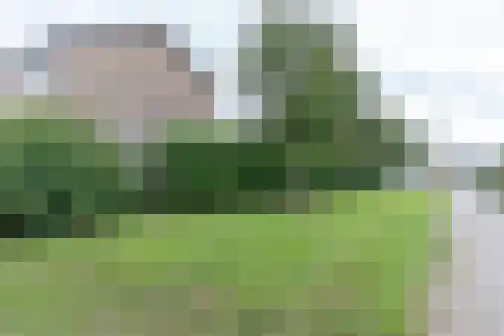 Kemmenadestraat 2 Arnhem thumbnail 29
