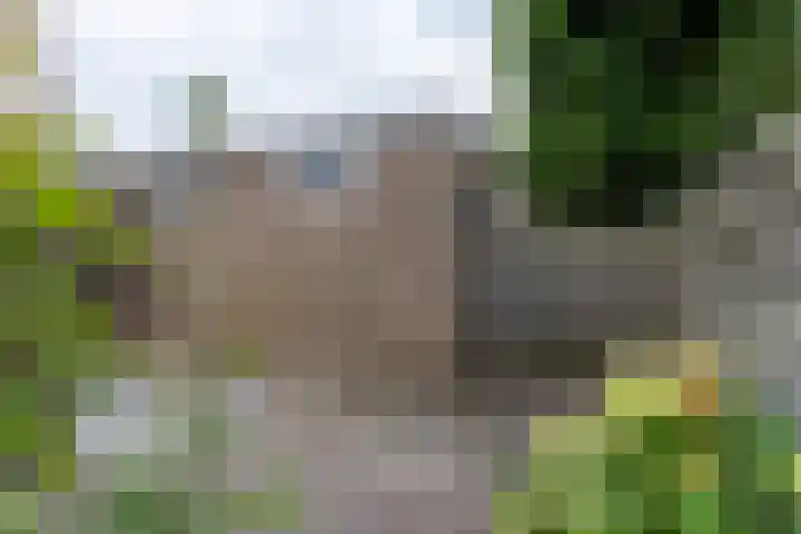 Kemmenadestraat 2 Arnhem thumbnail 6