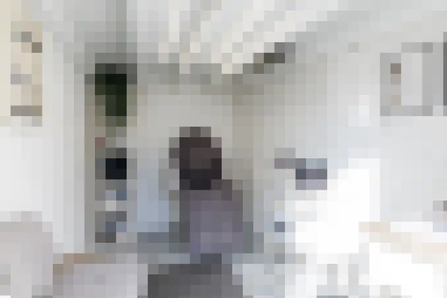 Kemmerlingstraat 1 Heerlen thumbnail 32
