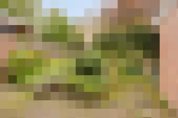 Kemnade 4 Almelo thumbnail 28