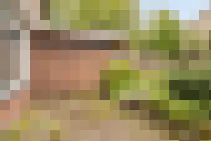 Kemnade 4 Almelo thumbnail 29