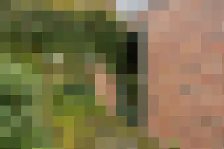 Kemnade 4 Almelo thumbnail 30