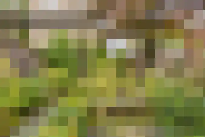Kemnade 4 Almelo thumbnail 31