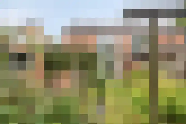 Kemnade 4 Almelo thumbnail 32