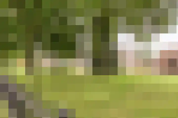 Kemnade 4 Almelo thumbnail 35