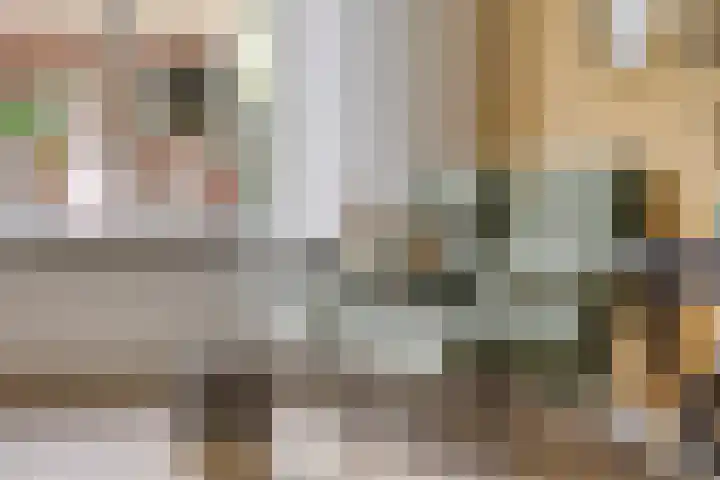 Kemnalanden 1 Enschede thumbnail 12