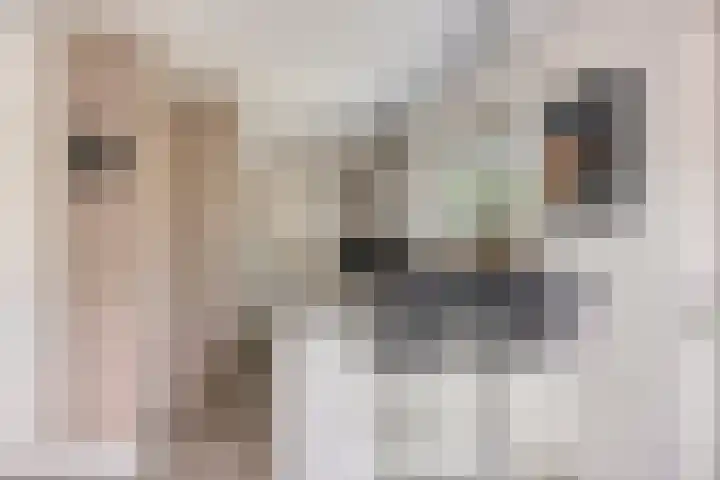 Kemnalanden 1 Enschede thumbnail 15