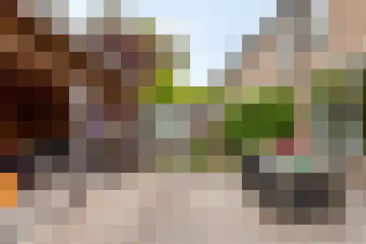Kemnalanden 1 Enschede thumbnail 30