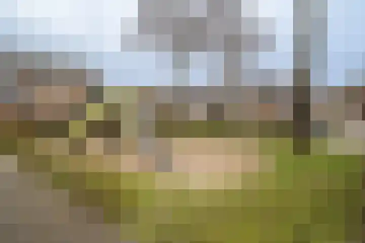 Kemnalanden 12 Enschede thumbnail 32
