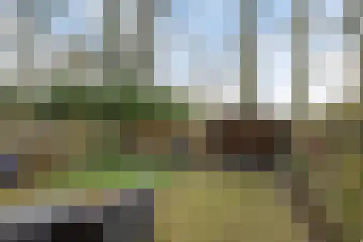 Kemnalanden 18 Enschede thumbnail 4