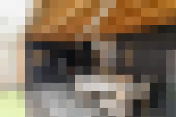 Kemnalanden 37 Enschede thumbnail 32