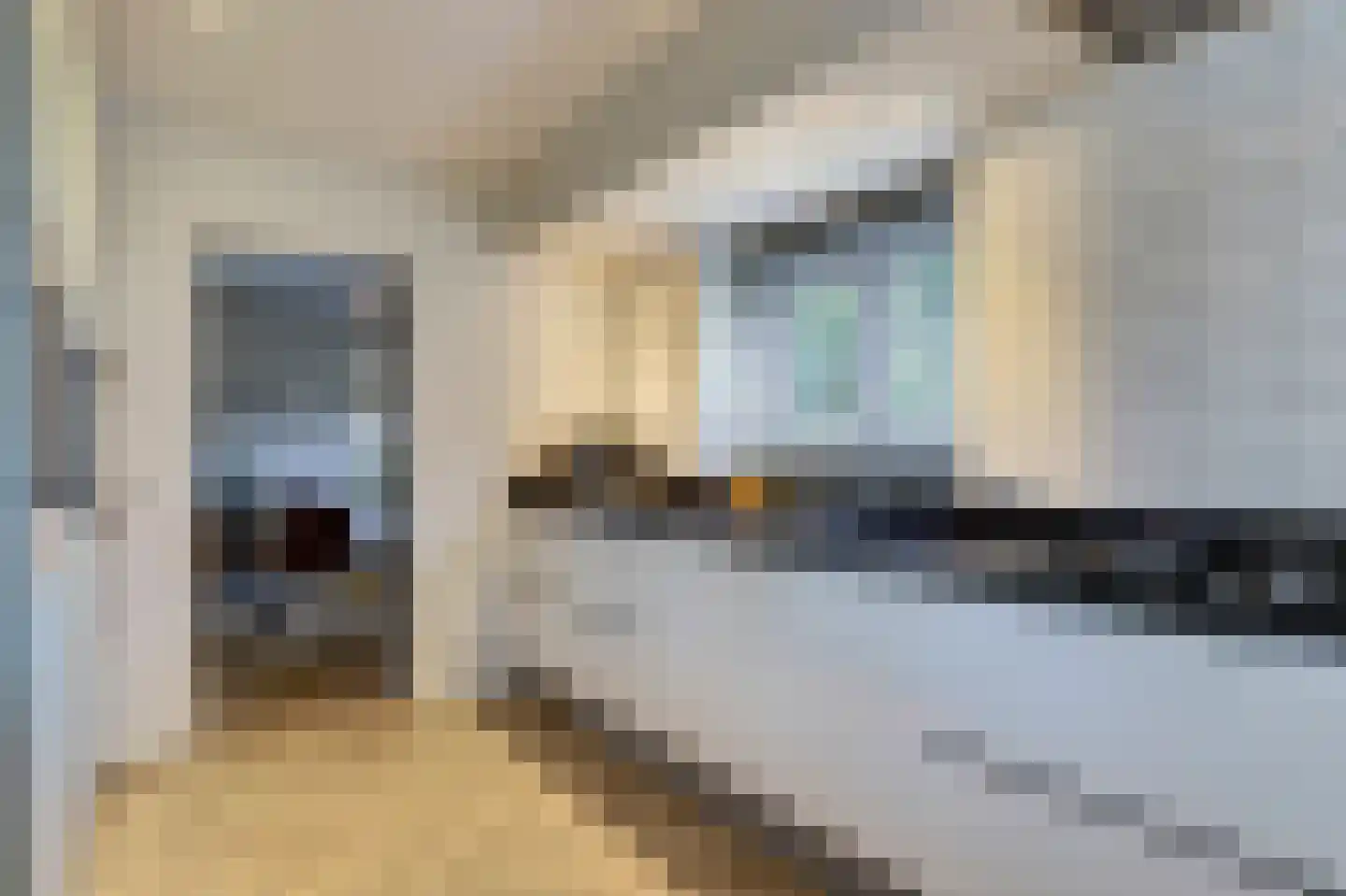 Kemp 1 Herten thumbnail 15