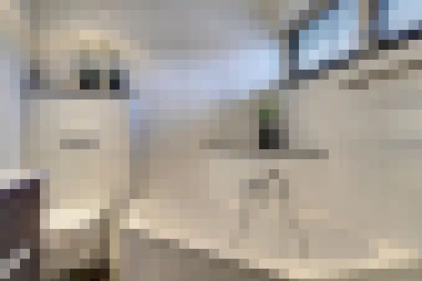 Kemp 1 Herten thumbnail 30