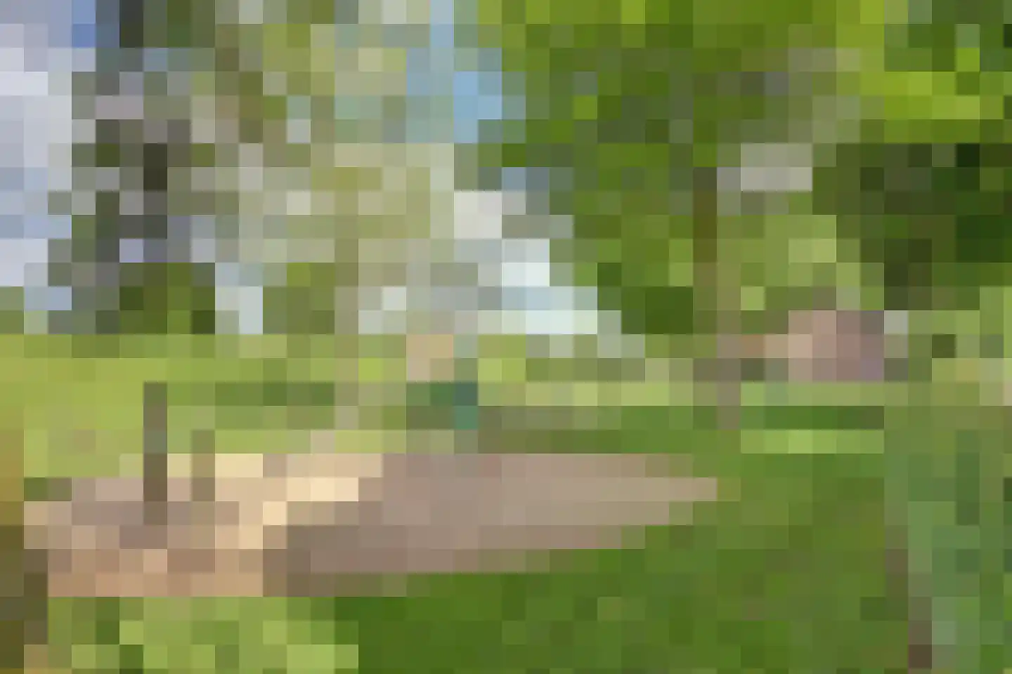 Kemp 1 Herten thumbnail 38