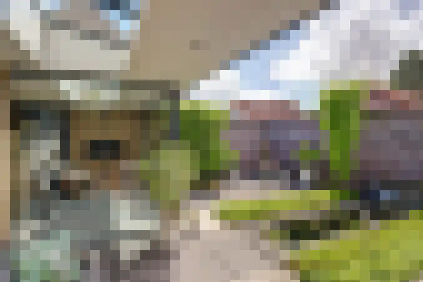 Kemp 1 Herten thumbnail 42
