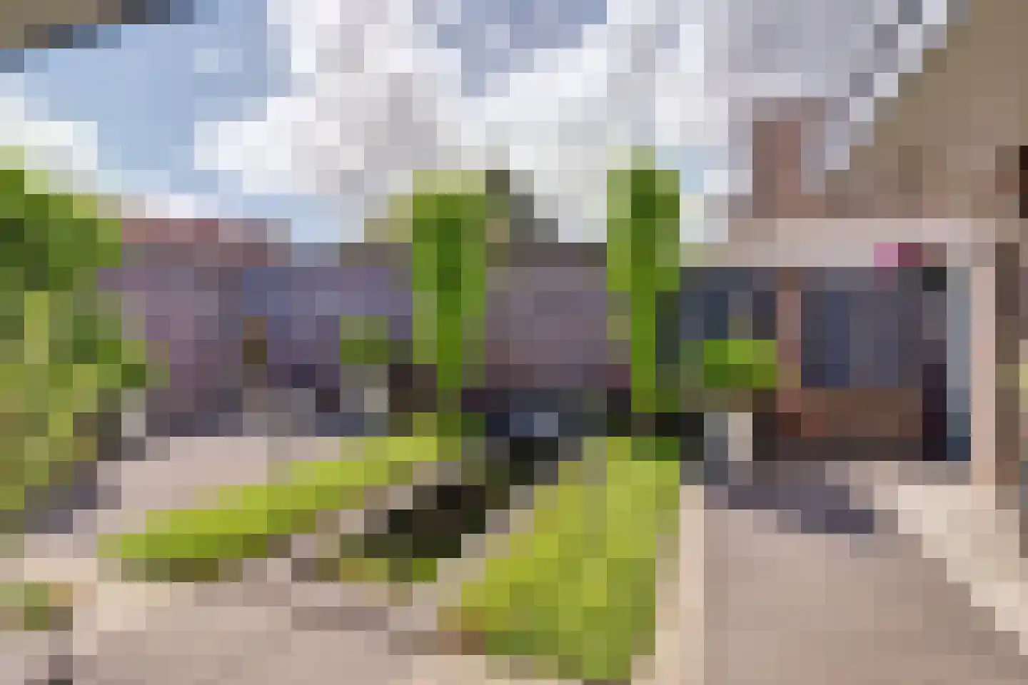 Kemp 1 Herten thumbnail 43