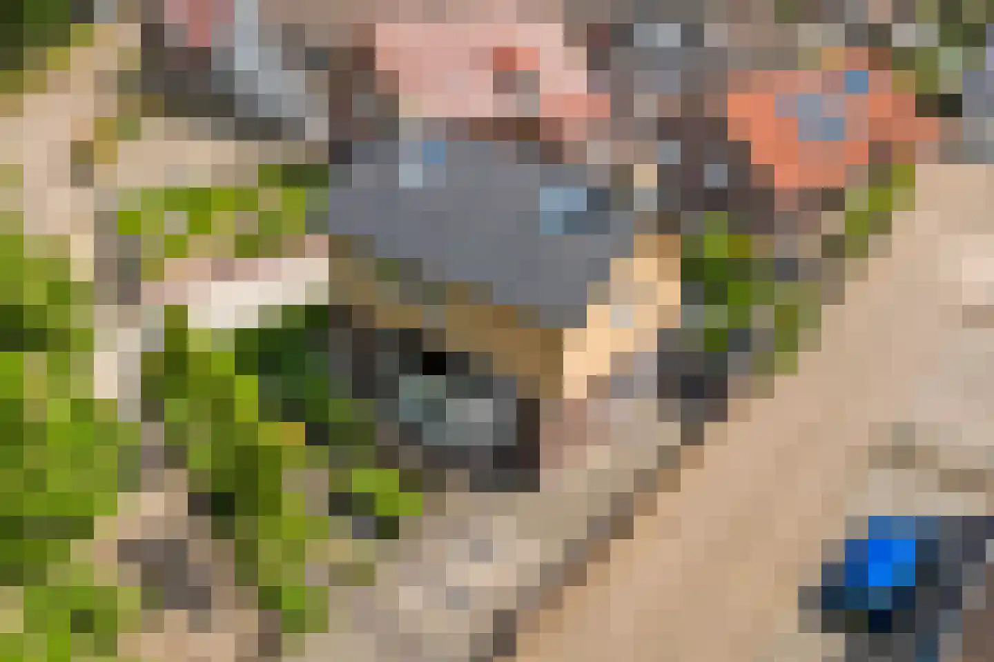 Kemp 1 Herten thumbnail 47