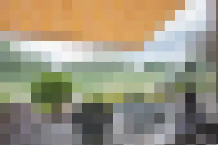 Kemp 10 Horn thumbnail 22