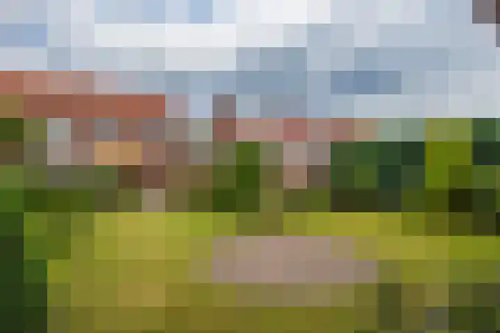 Kemp 10 Horn thumbnail 28